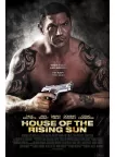 HOUSE OF THE RISING SUN MOVIE FILM ORIGINAL CINEMA ART PRINT PREMIUM POSTER