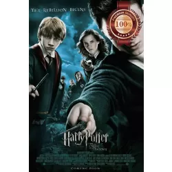 HARRY POTTER AND THE ORDER OF THE PHOENIX CINEMA MOVIE FILM PRINT PREMIUM POSTER