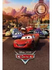 CARS 1 DISNEY 2006 3D V2 OFFICIAL ORIGINAL CINEMA MOVIE PRINT PREMIUM POSTER