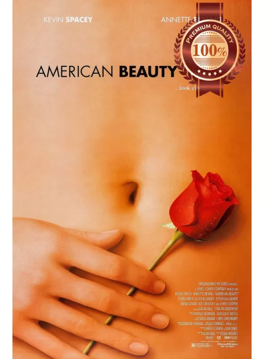 AMERICAN BEAUTY MOVIE 1999 90s FILM ORIGINAL CINEMA ART PRINT PREMIUM POSTER