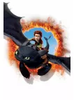 TOOTHLESS HOW TO TRAIN YOUR DRAGON 2 2014 MOVIE WALL ART PRINT PREMIUM POSTER