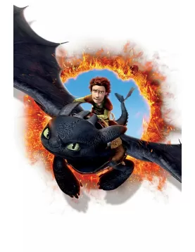 TOOTHLESS HOW TO TRAIN YOUR DRAGON 2 2014 MOVIE WALL ART PRINT PREMIUM POSTER