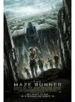 THE MAZE RUNNER 2014 1 ONE FIRST FILM MOVIE ORIGINAL CINEMA PRINT PREMIUM POSTER