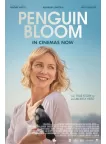 PENGUIN BLOOM 2020 TRUE STORY ORIGINAL MOVIE FILM CINEMA PRINT PREMIUM POSTER PENGUIN BLOOM 2020 TRUE STORY ORIGINAL MOVIE FILM CINEMA PRINT PREMIUM POSTER