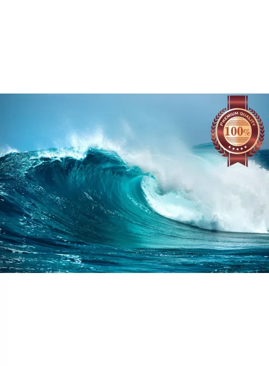 WAVE TUBE BREAKING BEACH CRASHING SURF SEA SPRAY PHOTO PRINT PREMIUM POSTER WAVE TUBE BREAKING BEACH CRASHING SURF SEA SPRAY PHOTO PRINT PREMIUM POSTER