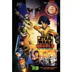 STAR WARS REBELS ANIME TV SHOW SERIES OFFICIAL ORIGINAL PRINT PREMIUM POSTER