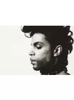 PRINCE SINGER MUSICIAN SIDE PORTRAIT FACE HOME PHOTO PRINT PREMIUM POSTER PRINCE SINGER MUSICIAN SIDE PORTRAIT FACE HOME PHOTO PRINT PREMIUM POSTER
