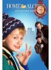 HOME ALONE 2 1990 90s ORIGINAL CLASSIC DECOR MOVIE HOME PRINT PREMIUM POSTER HOME ALONE 2 1990 90s ORIGINAL CLASSIC DECOR MOVIE HOME PRINT PREMIUM POSTER