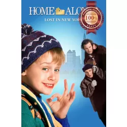 HOME ALONE 2 1990 90s ORIGINAL CLASSIC DECOR MOVIE HOME PRINT PREMIUM POSTER