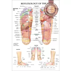 REFLEXOLOGY OF THE FOOT ACUPUNCTURE POINT DIAGRAM ANATOMY CHART PREMIUM POSTER