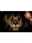 LION CLOSE UP FACE BIG CAT PHOTO WILD BEAUTIFUL ANIMAL PRINT PREMIUM POSTER