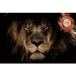 LION CLOSE UP FACE BIG CAT PHOTO WILD BEAUTIFUL ANIMAL PRINT PREMIUM POSTER