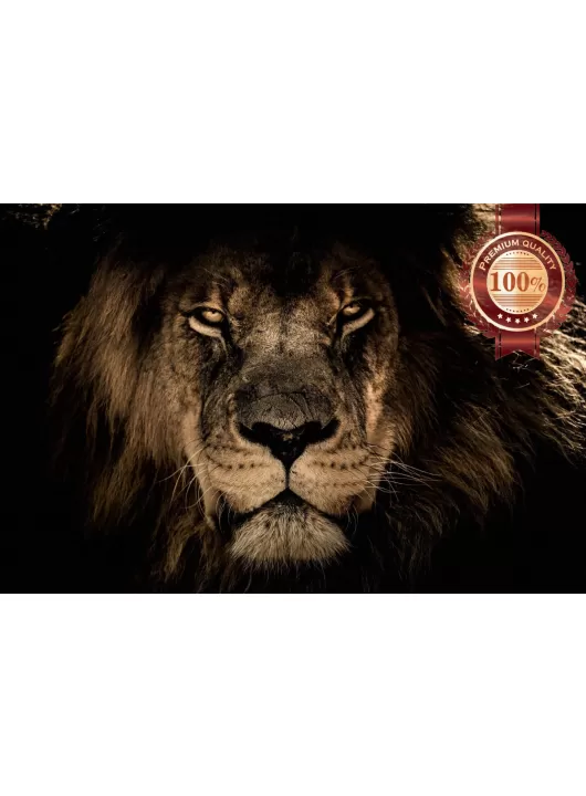 LION CLOSE UP FACE BIG CAT PHOTO WILD BEAUTIFUL ANIMAL PRINT PREMIUM POSTER