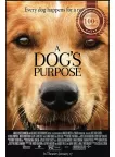 A DOG'S PURPOSE 2017 ORIGINAL OFFICIAL CINEMA MOVIE FILM PRINT PREMIUM POSTER A DOG'S PURPOSE 2017 ORIGINAL OFFICIAL CINEMA MOVIE FILM PRINT PREMIUM POSTER