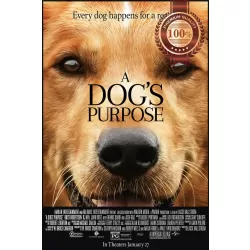A DOG'S PURPOSE 2017 ORIGINAL OFFICIAL CINEMA MOVIE FILM PRINT PREMIUM POSTER